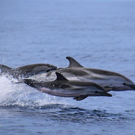 Atlantico 24 Leilighet Puerto de Santiago  Eksteriør bilde